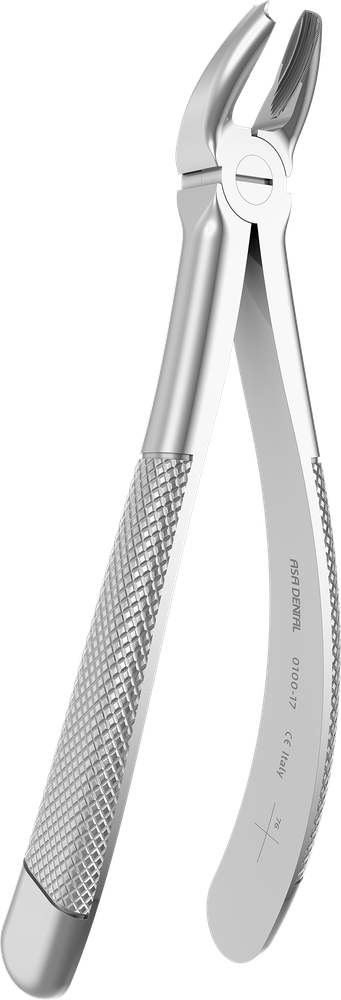 Obere Molaren - 17.2 ± 0.3 cm - mit geriffelten Spitzen 0100-17 – ASA Dental S.p.A. Uninominale