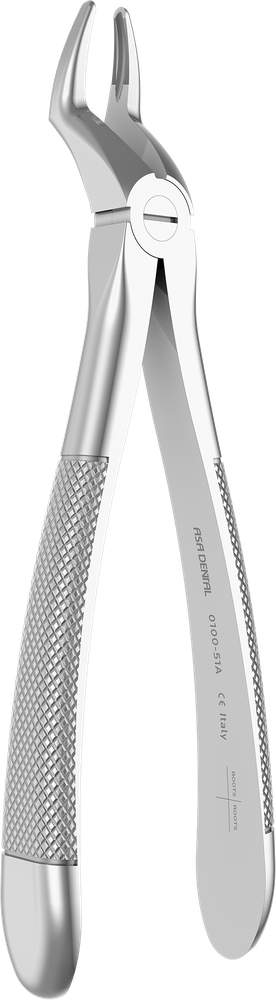 OK-Wurzeln - 18.2 ± 0.3 cm - mit geriffelten Spitzen 0100-51A