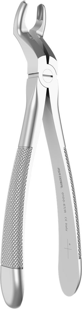 UK Wurzeln Frontzähne - 18,3 cm - mit geriffelten Spitzen 0100-67/R