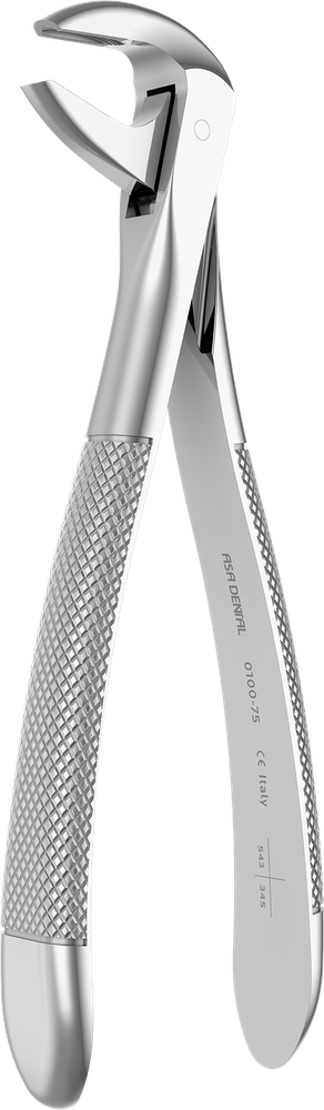 UK-Eckzähne und Prämolaren - 15.8 ± 0.3 cm - mit geriffelten Spitzen 0100-75