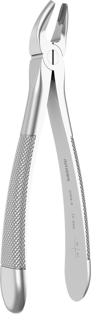 OK-Molaren - 17.2 ± 0.2 cm - mit geriffelten Spitzen 0104-2