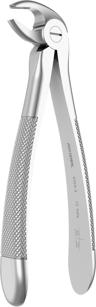 UK-Frontzähne, Prämolaren und Wurzeln - 15.2 ± 0.2 cm - mit geriffelten Spitzen 0104-3