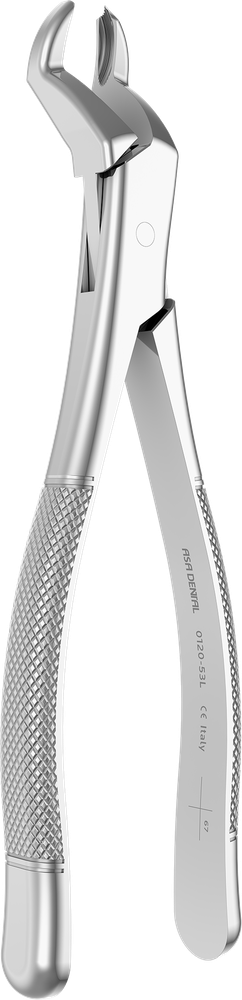 0120-53L – ASA Dental S.p.A. Uninominale