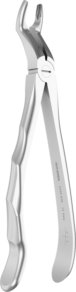 OK-Weisheitszähne - 18 cm - mit geriffelten Spitzen 0130-67A – ASA Dental S.p.A. Uninominale