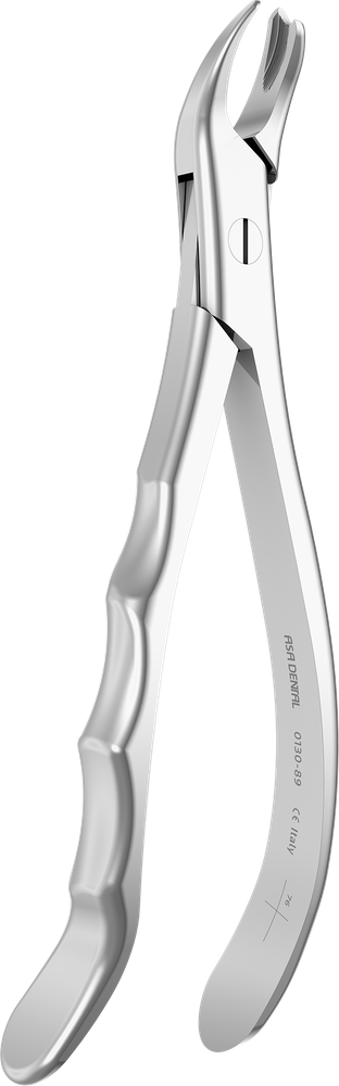 OK-Molaren rechts - 17.5 ± 0.2 cm - mit geriffelten Spitzen 0130-89 – ASA Dental S.p.A. Uninominale
