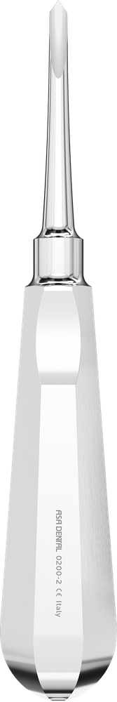 Bein
