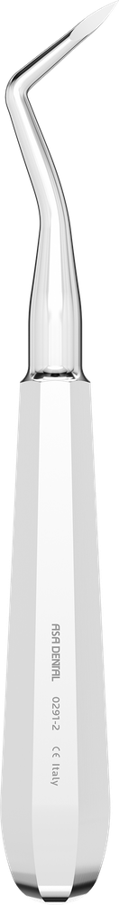Heidbrink