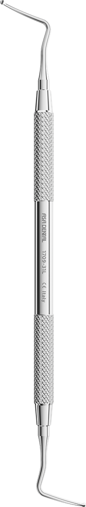 1709-31L