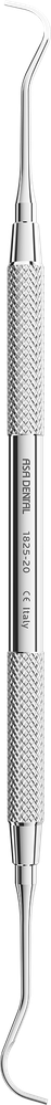 Curette McCall 19/20