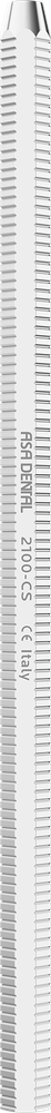 2100-CS