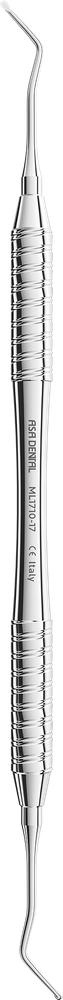 ML1710-17