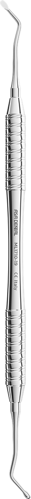 ML1710-19