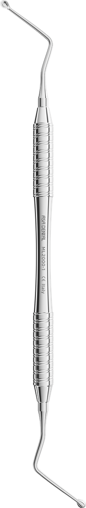 ML2000-1