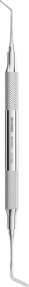 MV1207-1