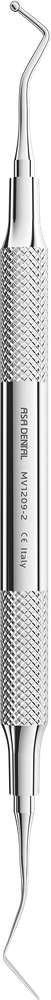 MV1209-2