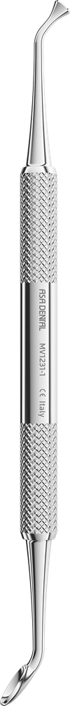MV1231-1