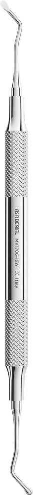 MV1706-19W