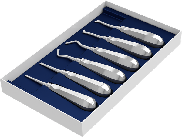 Set mit 6 Wurzelhebern S0200-6