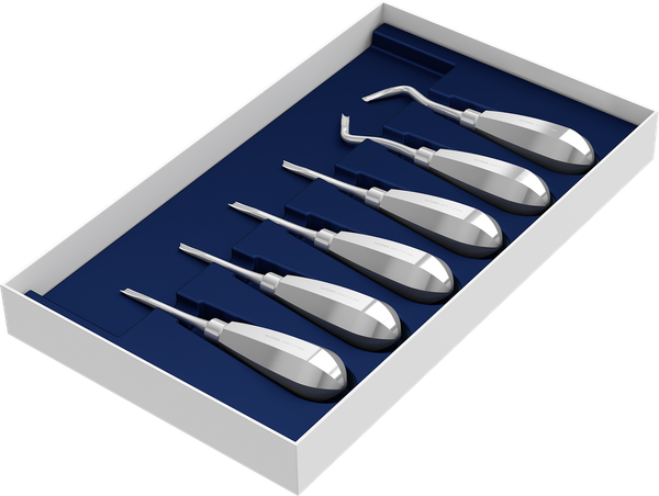Set mit 6 Wurzelhebern S0244-6