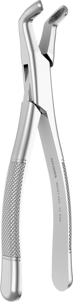 UK-Weisheitszähne - 17 cm W0121-222