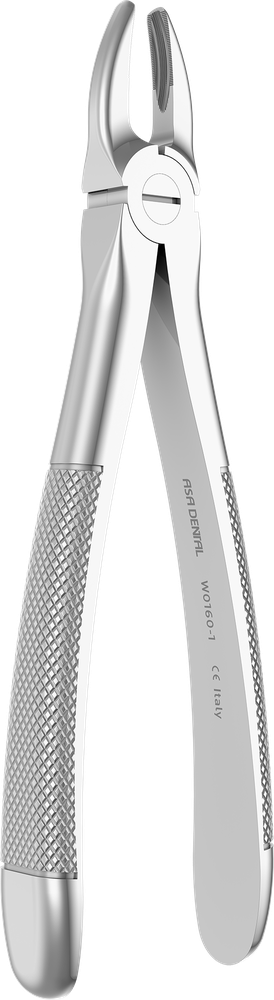 OK-Frontzähne - 15.5 ± 0.1 cm - mit geriffelten Spitzen W0160-1 – ASA Dental S.p.A. Uninominale