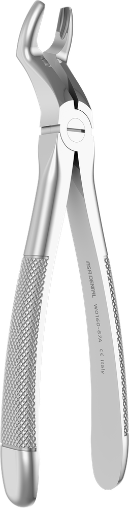 W0160-67A – ASA Dental S.p.A. Uninominale, Extraction Forceps