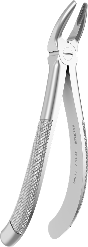 OK-Frontzähne, OK-Prämolaren - 15.5 ± 0.1 cm - mit geriffelten Spitzen W0160-7 – ASA Dental S.p.A. Uninominale