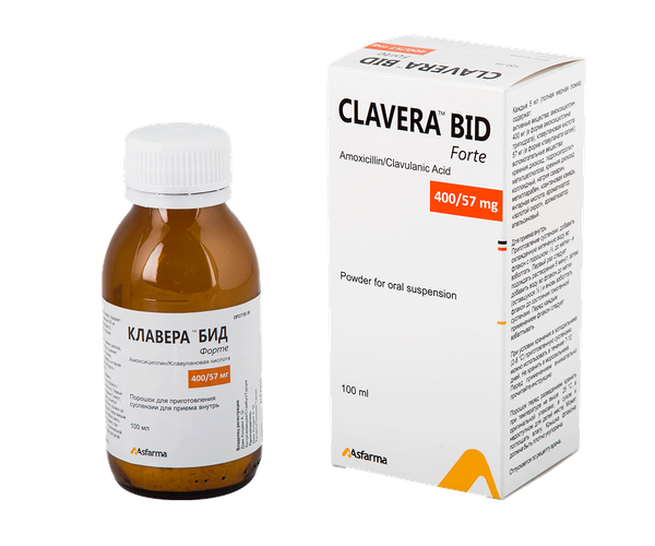 CLAVERA BID FORTE SUSPENSION