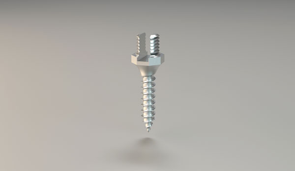 Pasin-Pin®
