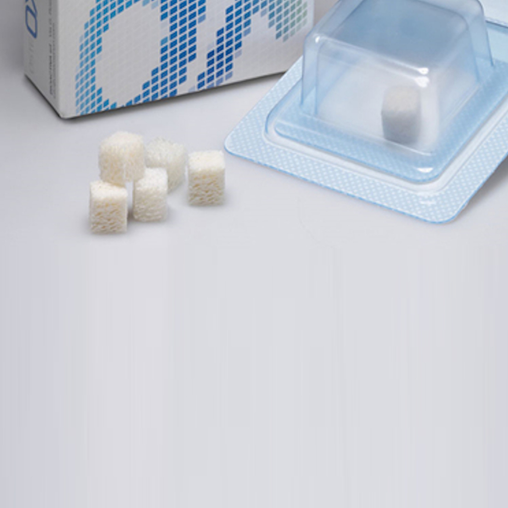 Sostituti Ossei Collagenici – Blocchi – osteOXenon