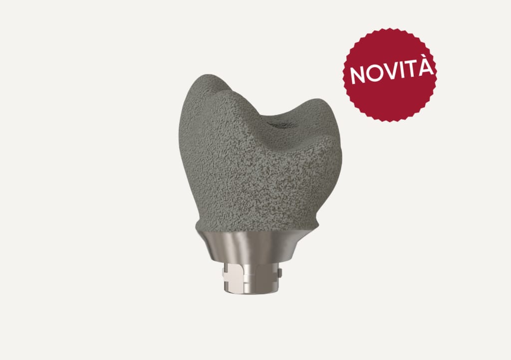 Protesi Personalizzata Neoss – Neoss GmbH, Abutments