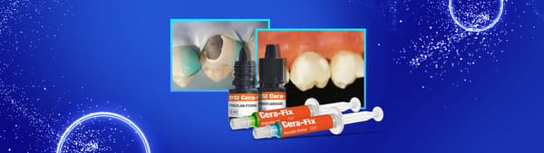 DSI Cera-Fix Repair Kit