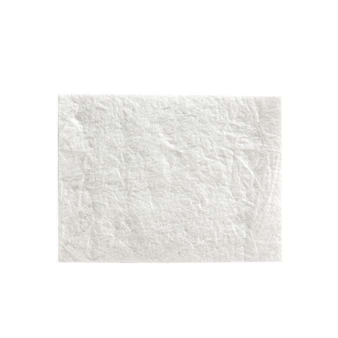 MEISINGER RTM Collagen 30x40mm, 2er, MBC3040