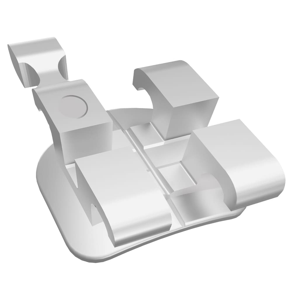 Mini Twin Two-Piece Stainless Steel Brackets Roth Rx 5-5 Kit