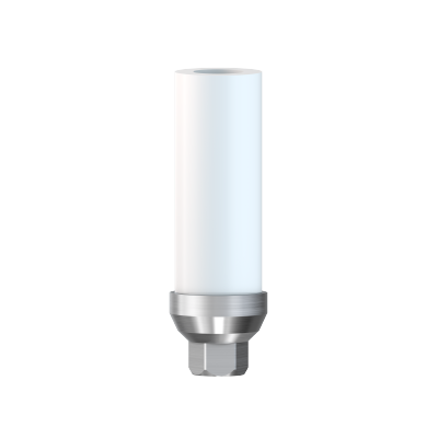 Custom Castable Abutments Ø2 mm