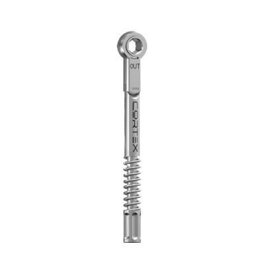 Torque Ratchet Prosthetic