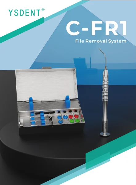 C-FR1 File Removal System