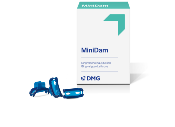 DMG MiniDam