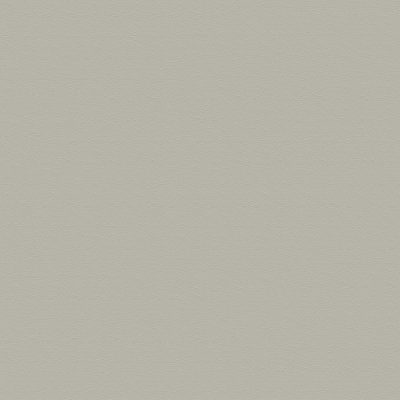 5666 Dove Grey