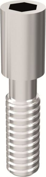 Șurub intern ARUM - Compatibil Adin® Touareg™ S&OS [Pachet de 10] – SC DIADVOX SRL, Implant Components & Abutments