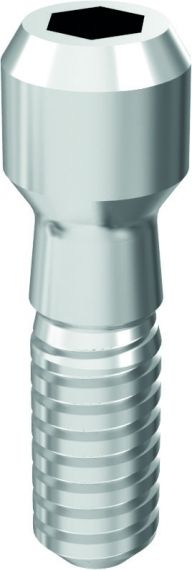 Șurub intern ARUM - Compatibil BrainBase Corporation® [Pachet de 10] – SC DIADVOX SRL, Implant Components & Abutments