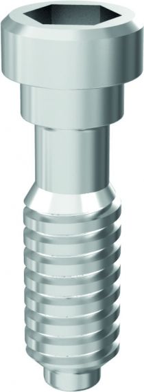 Șurub intern ARUM - Compatibil BioHorizons® External® [Pachet de 10] – SC DIADVOX SRL, Implant Components & Abutments