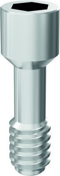 Șurub intern ARUM - Compatibil BioHorizons® Internal® [Pachet de 10] – SC DIADVOX SRL, Implant Components & Abutments