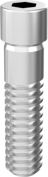 Șurub intern ARUM - Compatibil NeoBiotech® [Pachet de 10] – SC DIADVOX SRL, Implant Components & Abutments