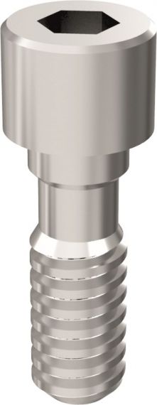 Șurub intern ARUM - Compatibil BTI INTERNA® – SC DIADVOX SRL, Implant Components & Abutments