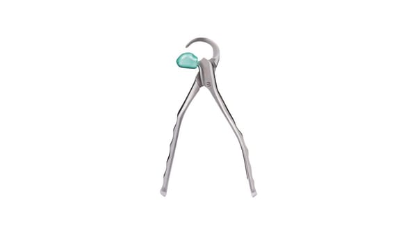 Physics® Forceps Paediatric Series GMX-50LU