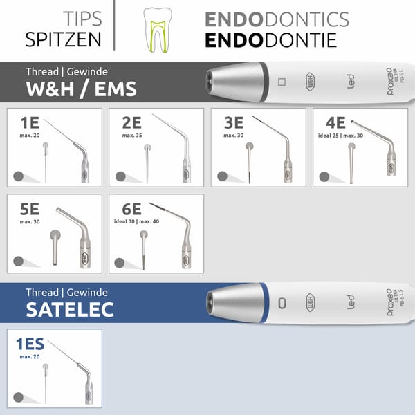 Endodontie-Ultraschallspitzen – kompatibel mit W&H, EMS, MECTRON (06367900)