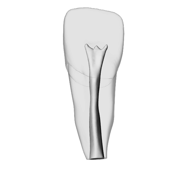 Incisive – Apex Ouvert, Transparent