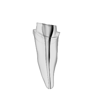 Incisor – Prepared crown, Shaped, White | Dental Training Models | DRSK – DRSK Group AB, Gypsum Additives, Die Hardeners and Plaster Removers
