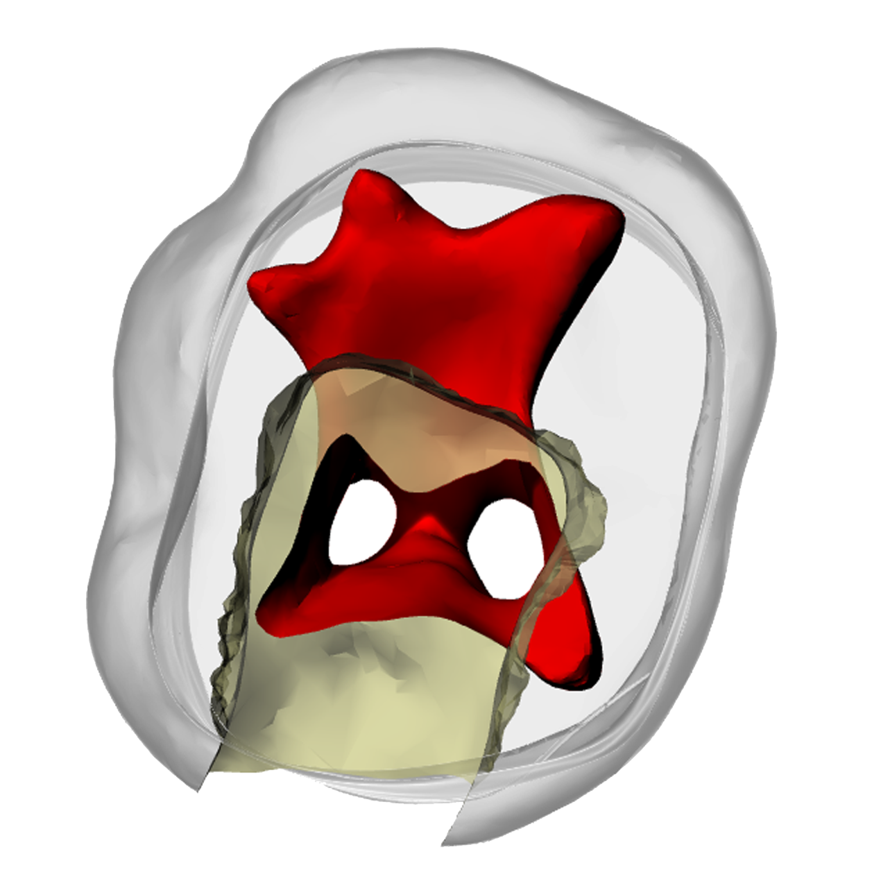 Primary mandibular second molar – DRSK Group AB, Die & Model Materials